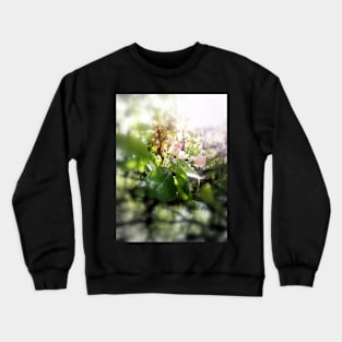 apple blossoms #5 Crewneck Sweatshirt